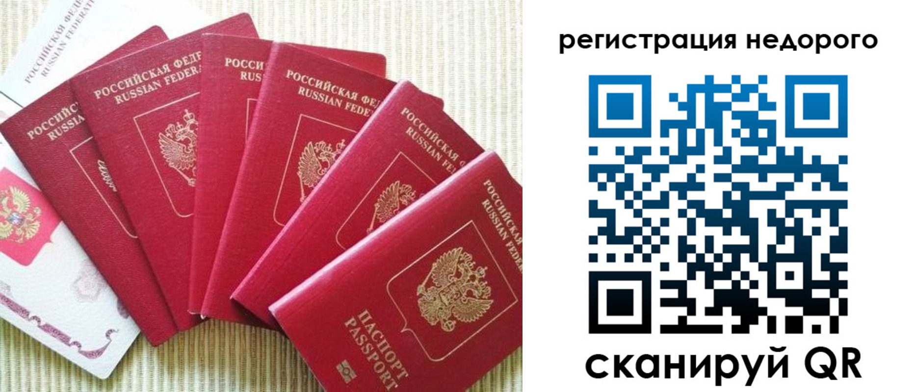 прописка 2025 в Реутове